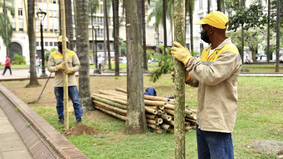 Por intervención ambiental se restringe el paso a la Plaza de Caicedo