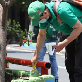 Vecinos y comerciantes de la Avenida Sexta lideraron jornada de embellecimiento