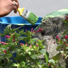 Vecinos y comerciantes de la Avenida Sexta lideraron jornada de embellecimiento