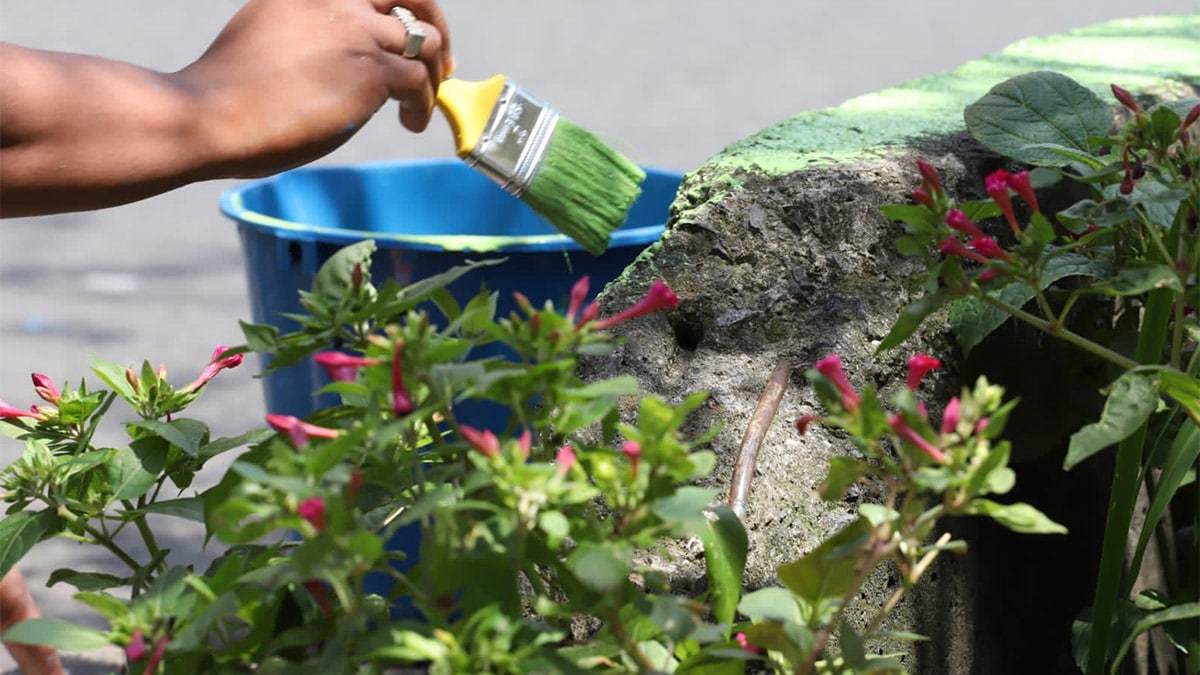 Vecinos y comerciantes de la Avenida Sexta lideraron jornada de embellecimiento