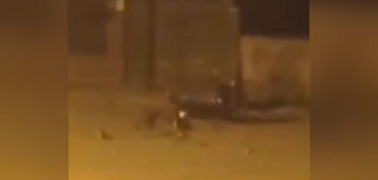 Autoridades investigan explosión de motocicleta en Florida, Valle