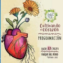 Llegó a Cali la 7ma versión del Festival Ecológico: “Cultivando el Corazón”
