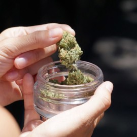 Choque entre Congresistas tras caída de Proyecto que regularía consumo adulto de marihuana