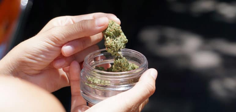 Choque entre Congresistas tras caída de Proyecto que regularía consumo adulto de marihuana