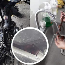 Hallan una culebra dentro de una moto en Avenida Estación de Cali