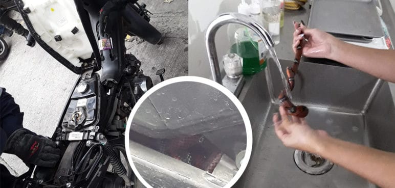 Hallan una culebra dentro de una moto en Avenida Estación de Cali
