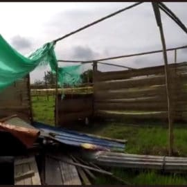 Hallan invasión con al menos 700 viviendas en humedales de Cali