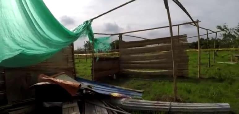 Hallan invasión con al menos 700 viviendas en humedales de Cali