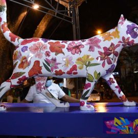 Esta es la historia de 'Las novias del gato del río' ¿Dónde están ubicadas?