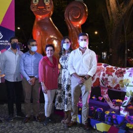 la-gata-florecida-panamericana-ya-se-encuentra-en-el-oeste-de-cali-11-11-2021-3