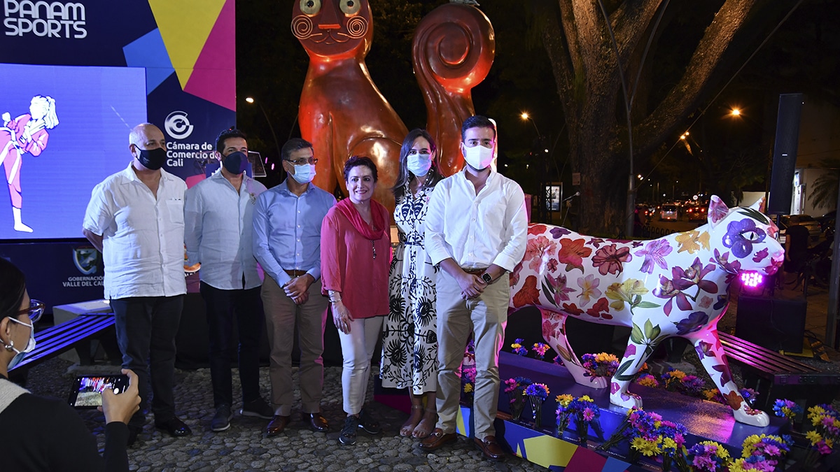 la-gata-florecida-panamericana-ya-se-encuentra-en-el-oeste-de-cali-11-11-2021-3