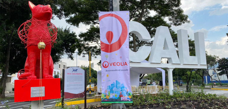 'Destino', la nueva novia del gato que engalana el norte de Cali