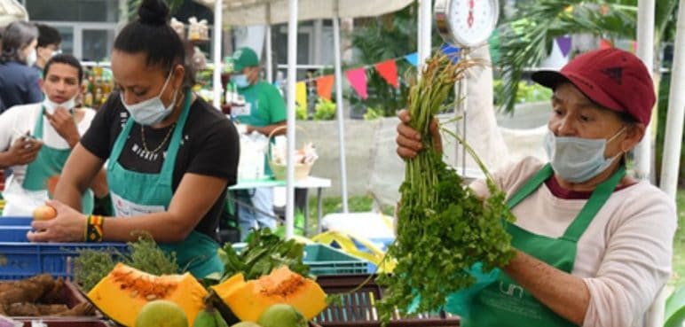 ‘Mercados Campesinos’ se adelantan para este 24 de diciembre