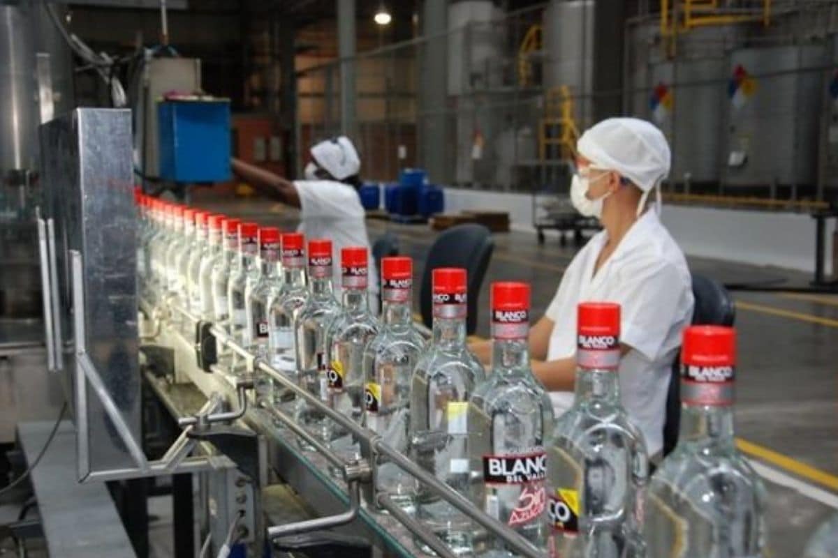 Así fue el balance de la Feria de Cali 2021