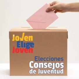 Elecciones de Consejos de Juventud: Solo el 10,42% de los jóvenes salieron a votar