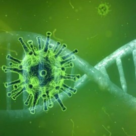 'Macta llega': ¿Nueva enfermedad similar al Covid-19?