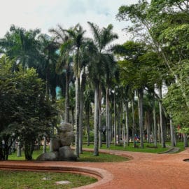 fotos-asi-quedo-nuevo-parque-central-rio-cali-20-12-2021-5
