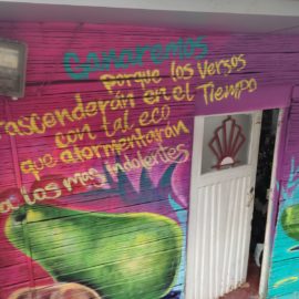 la-calle-de-la-poesia-se-viste-de-colores-09-12-2021-4