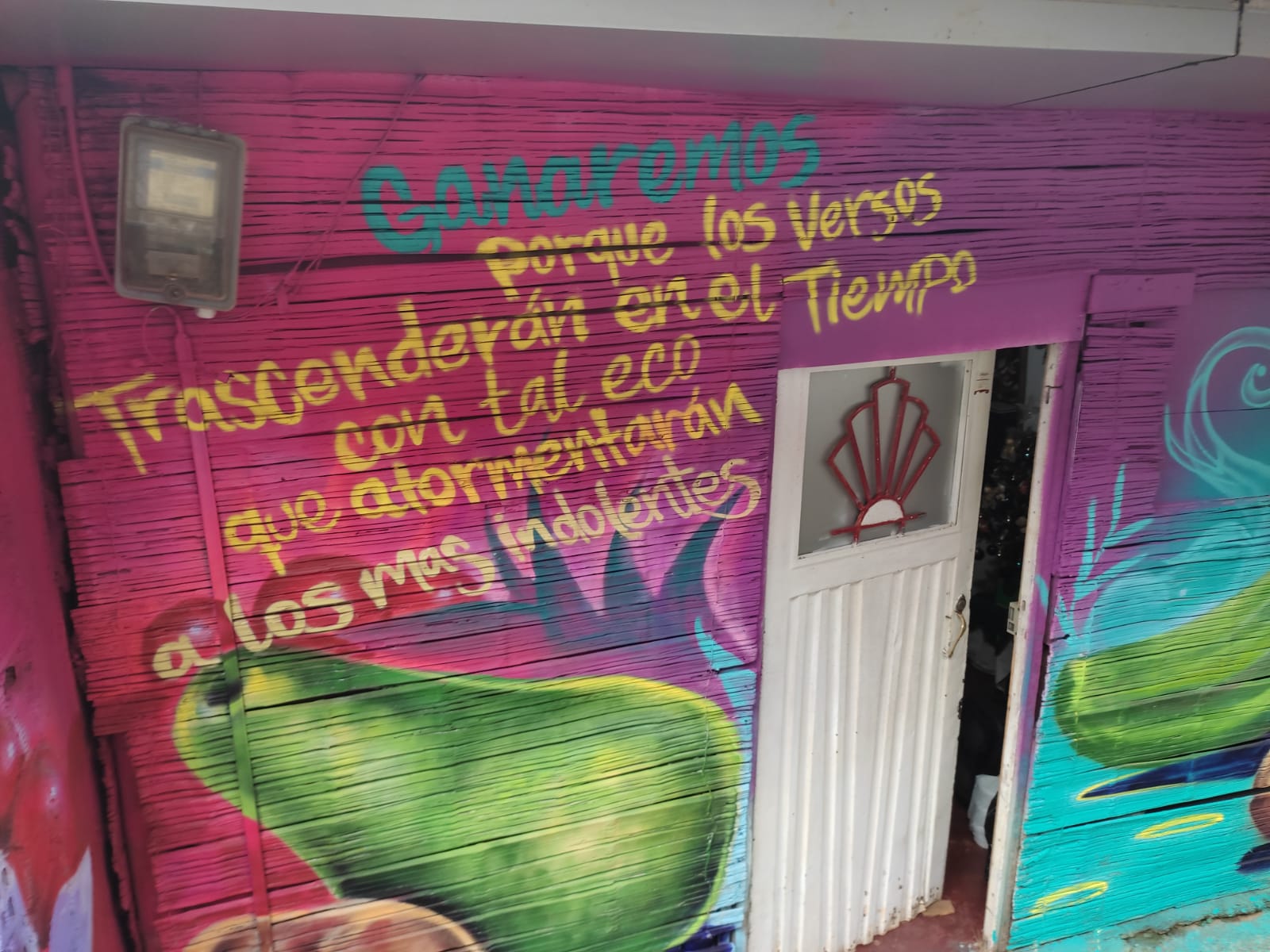la-calle-de-la-poesia-se-viste-de-colores-09-12-2021-4