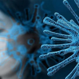 ¿Cuál es la diferencia entre pandemia y endemia? Aquí le explicamos