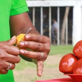 Parque Pacífico: proyecto que abarcará la gastronomía pacífica en Cali