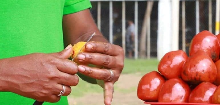Parque Pacífico: proyecto que abarcará la gastronomía pacífica en Cali
