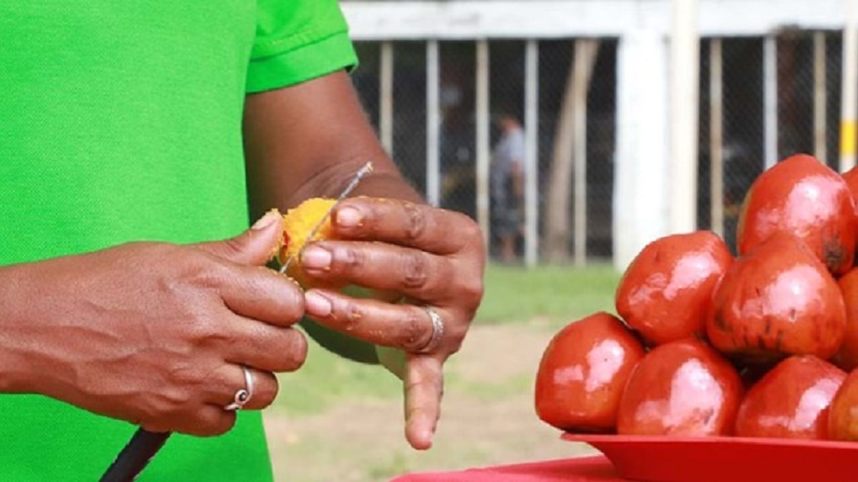 Parque Pacífico: proyecto que abarcará la gastronomía pacífica en Cali