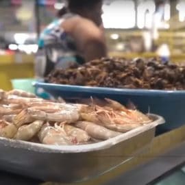Vea qué debe tener en cuenta para disfrutar de la gastronomía del Petronio