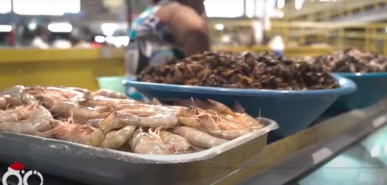 Vea qué debe tener en cuenta para disfrutar de la gastronomía del Petronio