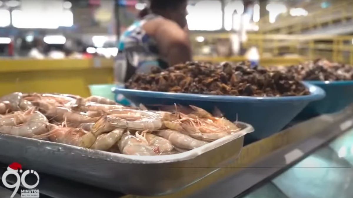 Vea qué debe tener en cuenta para disfrutar de la gastronomía del Petronio
