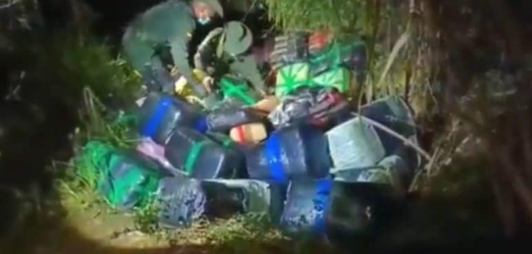 Incautan cargamento de al menos una tonelada de marihuana en Palmira