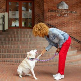 Cali tendrá nuevos espacios públicos 'Pet Friendly'