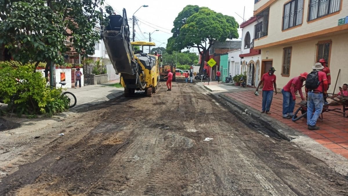 Jardines y pasajes coloridos inclusivos: así es el nuevo separador vial de la Carrera 39