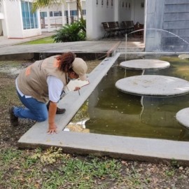 Realizan controles para eliminar criaderos de zancudos del dengue