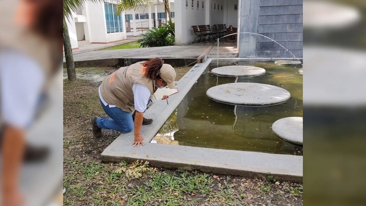 ‘Ecopanitas’ una estrategia de educación ambiental para menores