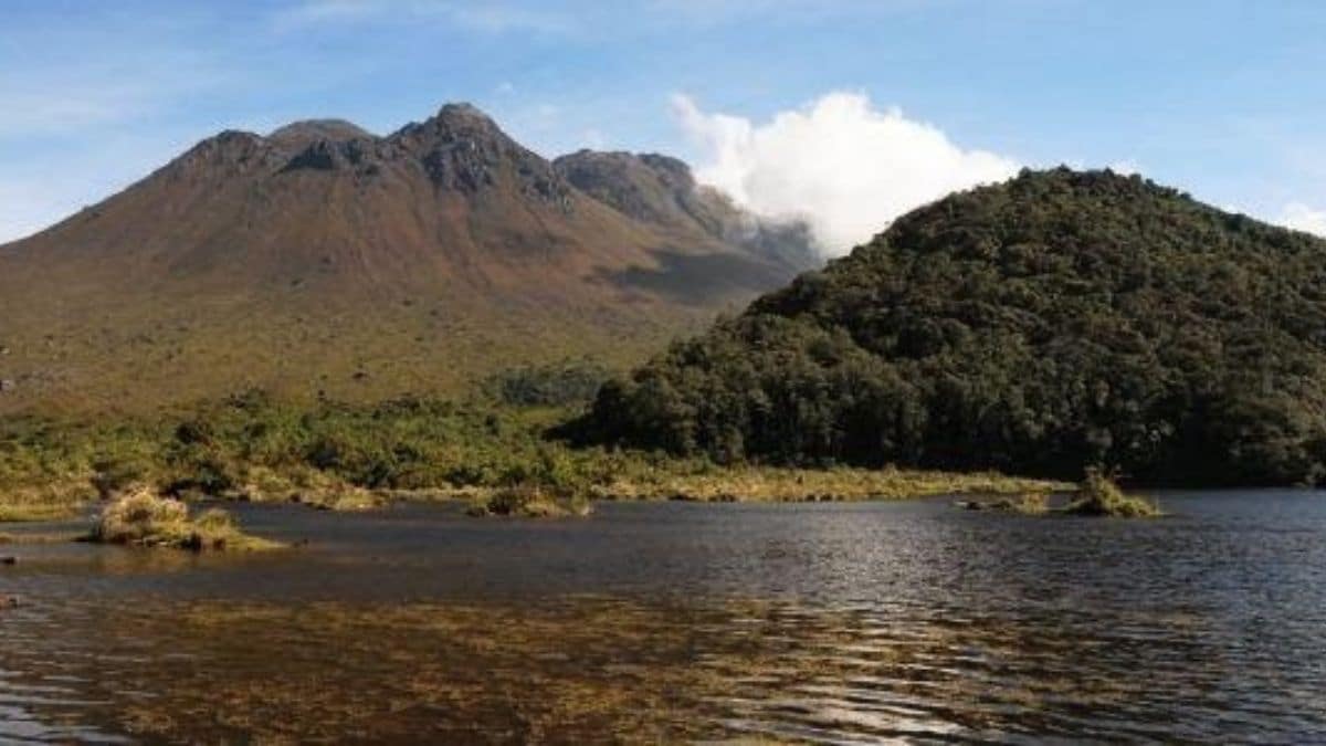 Vallecaucano sobreviviente de naufragio en EE UU se reencontró con su mamá