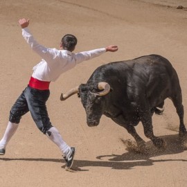 No habrá temporada taurina en Bogotá para este 2022