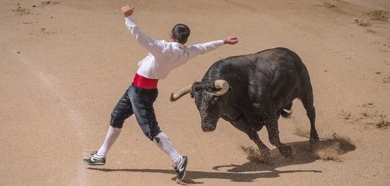 No habrá temporada taurina en Bogotá para este 2022