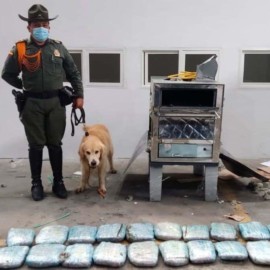 Incautan más de 86kg de marihuana en empresa de mensajería de Cali