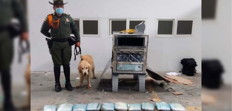 Incautan más de 86kg de marihuana en empresa de mensajería de Cali