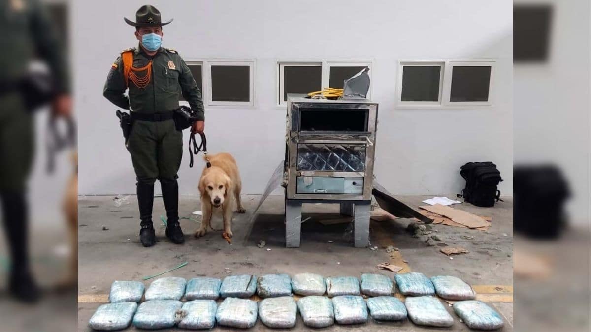Empresas de aseo restablecieron casi por completo la recolección de basuras en Cali