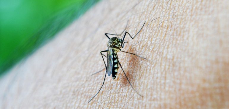 Autoridades de salud en alerta tras aumento de casos de dengue en el Valle