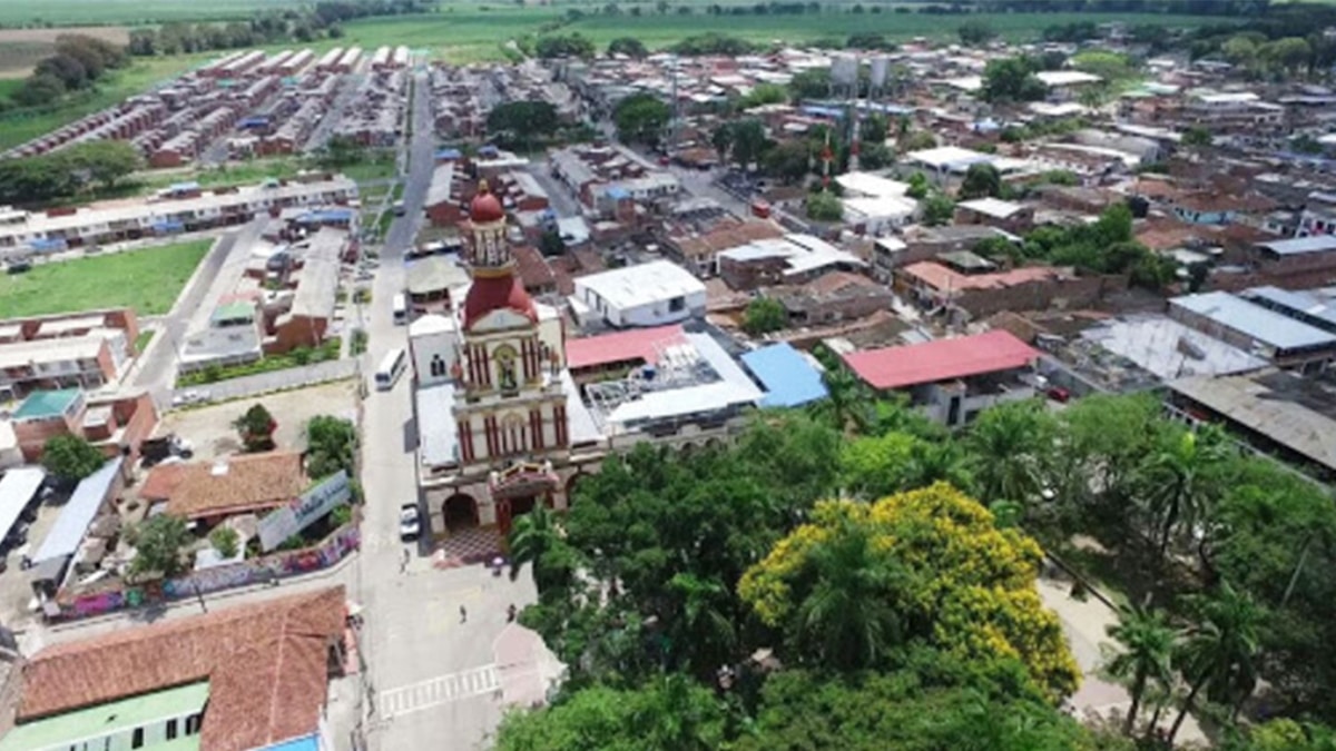 Denuncian que construcción de estación del Mío en San Luis afectará árboles del separador