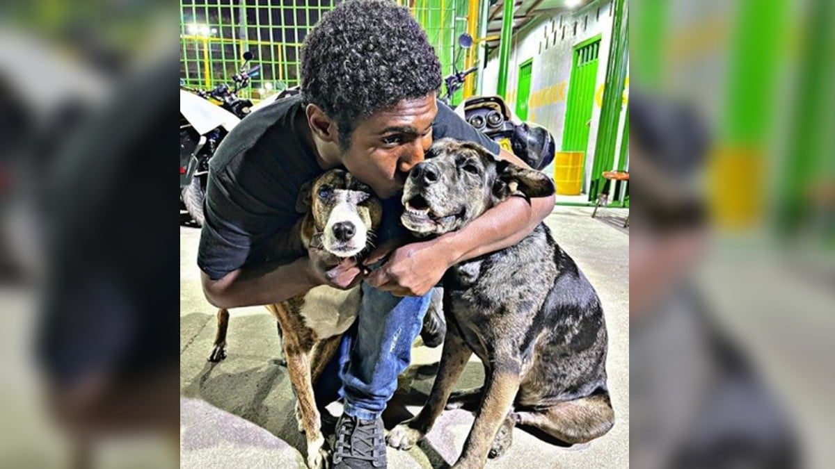 'Choco', el hombre en condición de calle que celebra el cumpleaños de sus perros