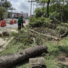 denuncian-construccion-estacion-mio-san-luis-afectara-arboles-18-01-2022-1