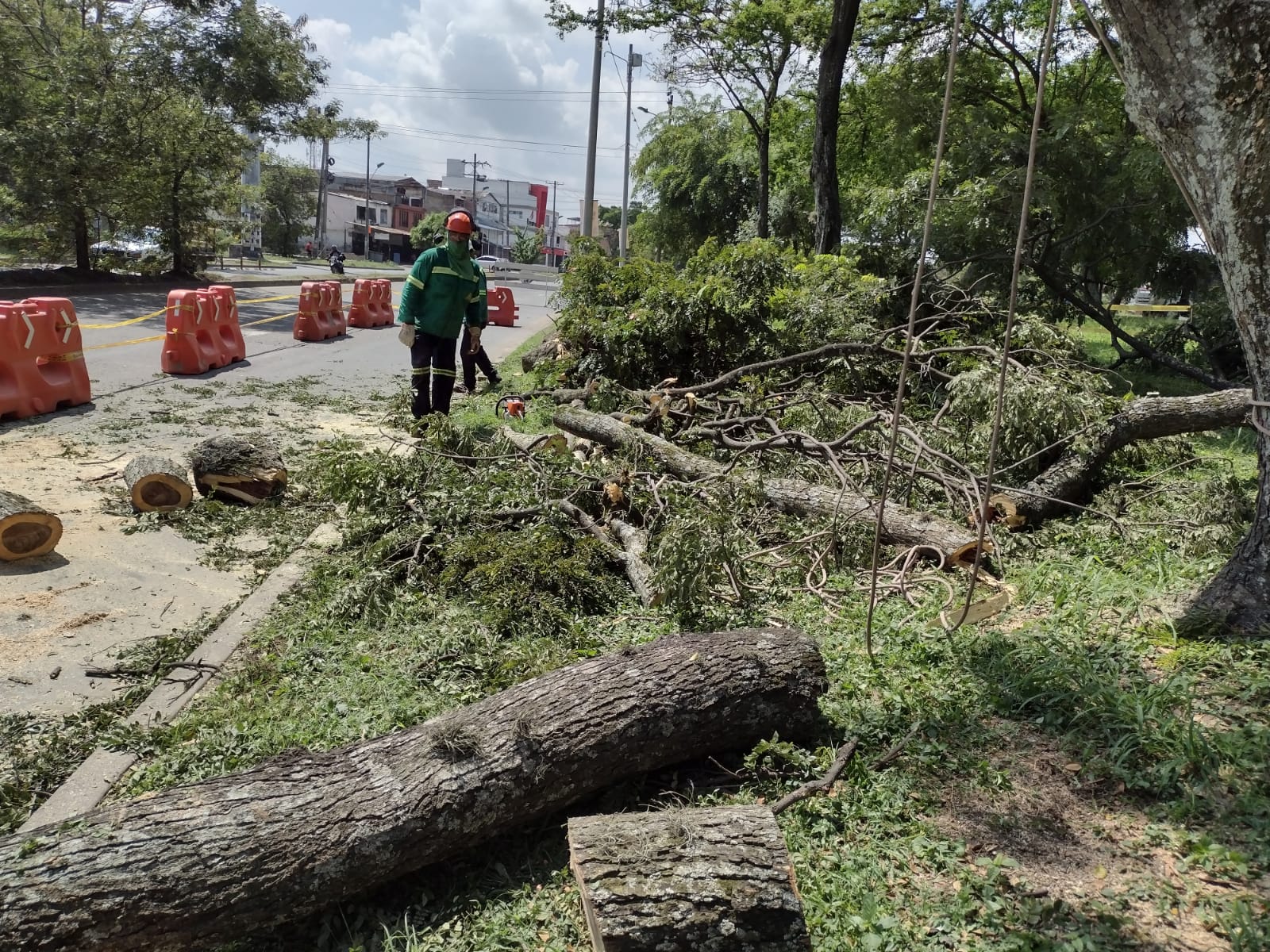 denuncian-construccion-estacion-mio-san-luis-afectara-arboles-18-01-2022-1