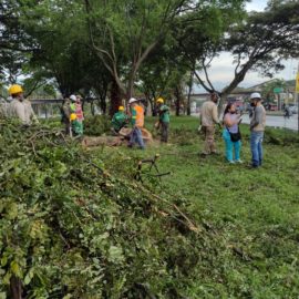 denuncian-construccion-estacion-mio-san-luis-afectara-arboles-18-01-2022-3