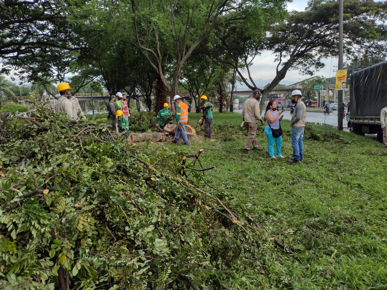 denuncian-construccion-estacion-mio-san-luis-afectara-arboles-18-01-2022-3