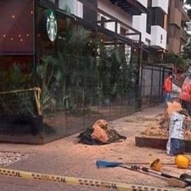 Esto respondió el Dagma frente a la tala de árboles en Granada
