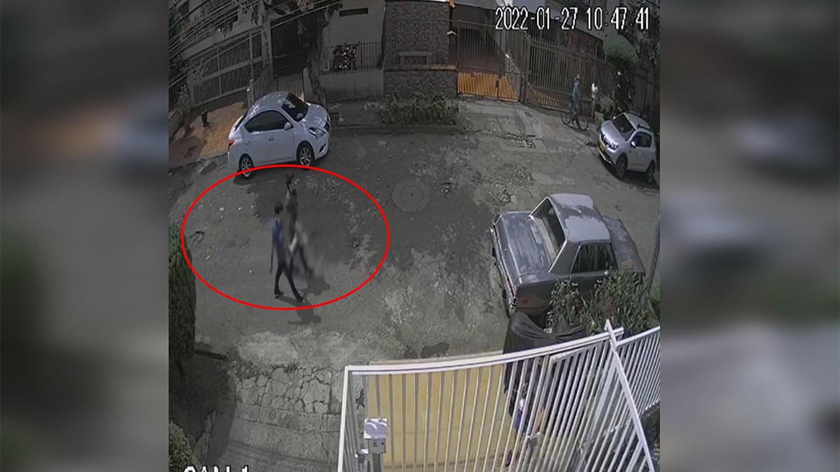 Joven aceptó ser el responsable de la muerte de una gatica en Cali